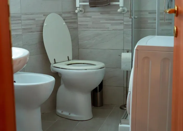Ortensie Rome